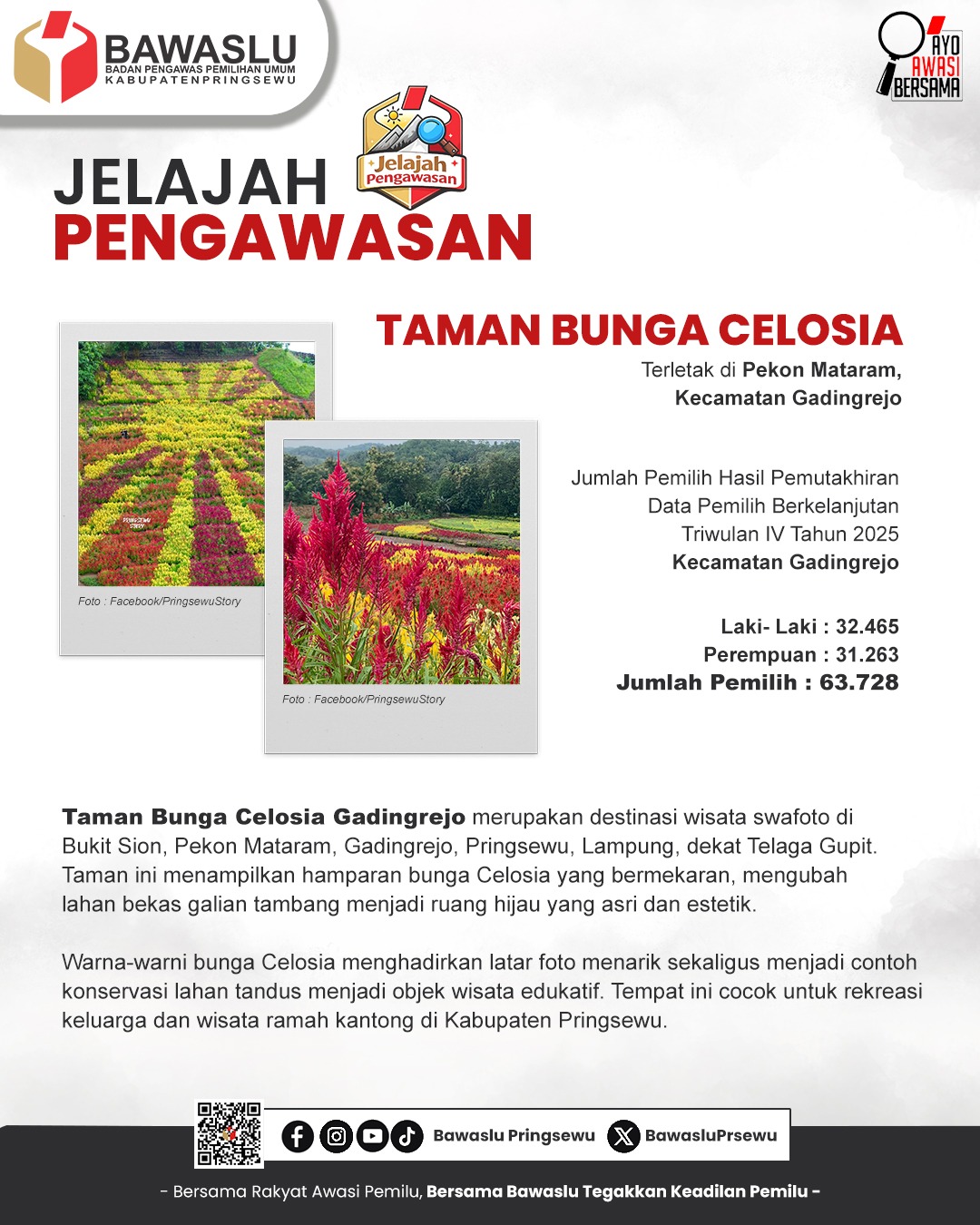 Taman Bunga Celosia, Konservasi Lahan Bekas Tambang Jadi Destinasi Edukasi