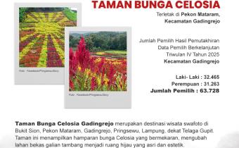 Taman Bunga Celosia, Konservasi Lahan Bekas Tambang Jadi Destinasi Edukasi